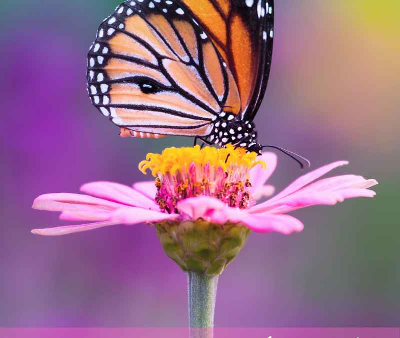 Resurrecting “Normal” – or Not?